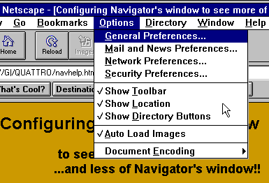 Navigator Options