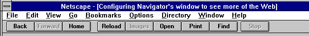 Navigator's Preferences dialog
